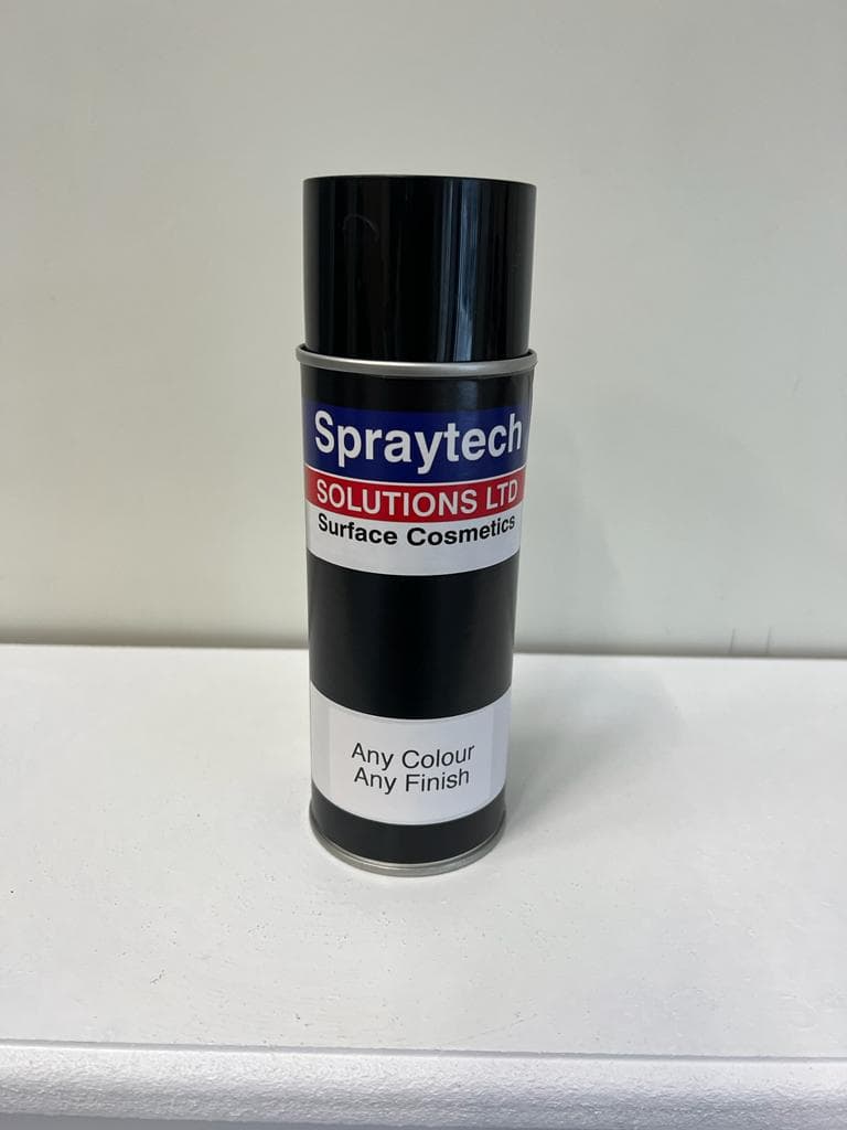 Repair & Touch Up Spray Paint